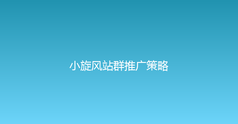 小旋风站群推广策略 封面图