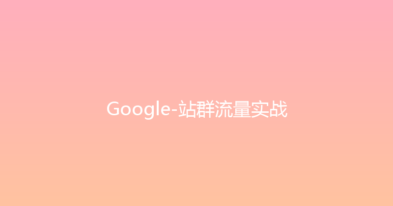 Google-站群流量实战 封面图